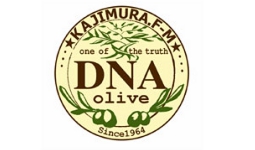 オリーブ生育状況