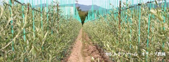 カジムラファーム